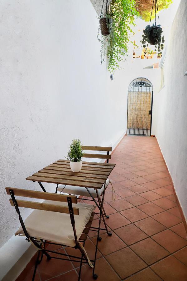 Appartamento Panoramico La Rosa Dei Venti - Maestrale Ischia Exterior photo